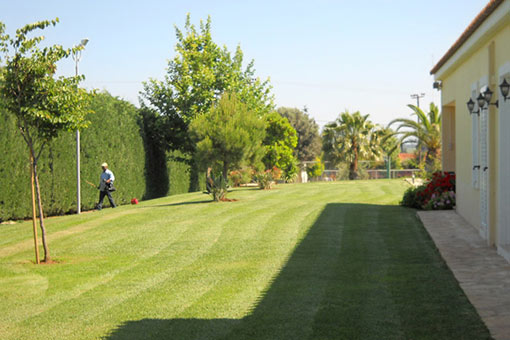 Garden maintenance